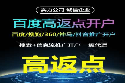 百度SEM推广案例：揭秘行业领军企业的成功之路